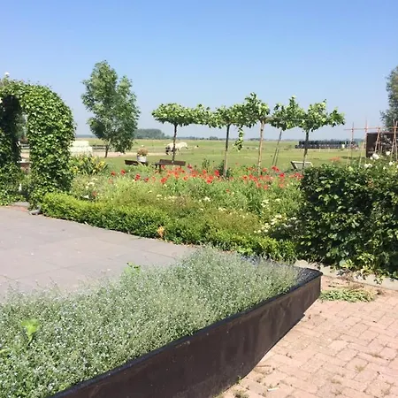 德和可瑟斯路易斯住宿加早餐旅馆 住宿加早餐酒店